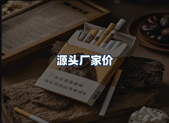 专业团队办公环境